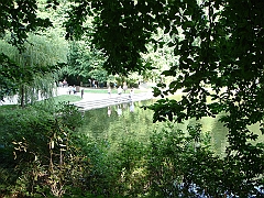 231 Longwood Gardens [2008 August 23]